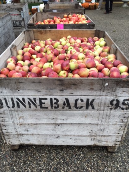 Fruit Ridge Orchards