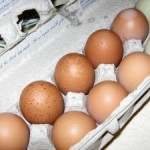 eggs-300x225