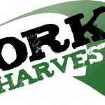cork_reharvest_logo